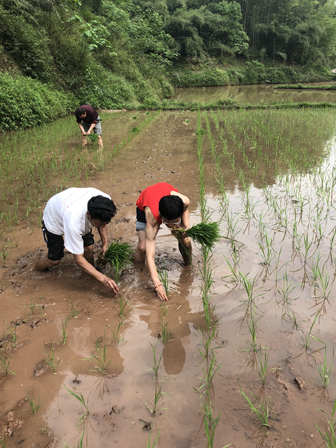 大石镇旺龙村、西南医院、王茂杨  《医疗扶贫 事必躬亲》2_副本.png