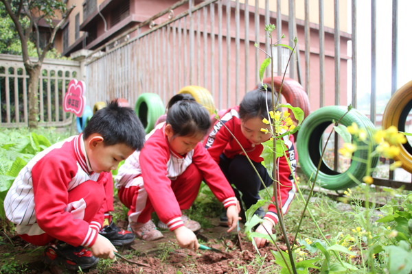 原图：植树节活动（吴薇）.jpg