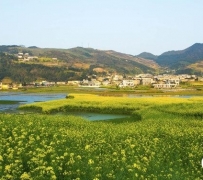 云山坝春意浓