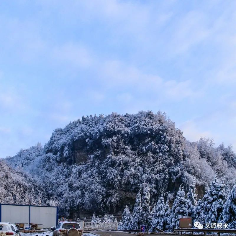 罗汉林下雪图片图片